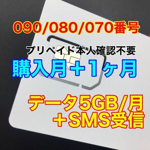 プリペイドSIMカード　データ通信5GB/月　SMS受信　090/080/070