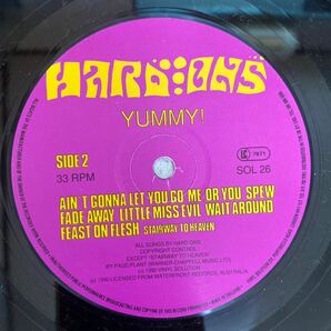 Hardons 「YUMMY！」 SOL26 1991年 パンク レコード LPの画像8