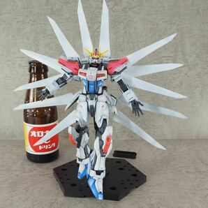 [EG]ビルドストライクガンダム エクシードギャラクシー  改修・塗装 完成品 GUNDAMの画像8