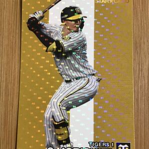 [森下翔太]カルビー 2024 プロ野球チップス 第1弾 STAR CARD カード Calbee 阪神タイガースの画像1