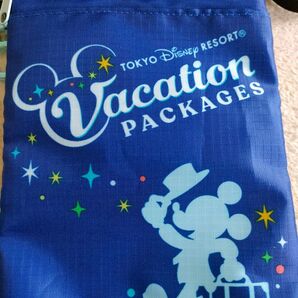 TDLディズニーバケーションパック ショルダーバッグ カラビナ付き