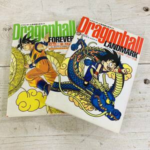 ドラゴンボール完全版攻略ガイド 2冊セット ドラゴンボールランドマーク＆フォーエバー/042-29　
