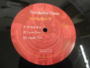 12インチ 『Trinidadian Deep / Native Bush EP』 (Z19)　