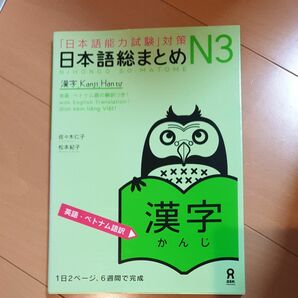 日本語総まとめ　Ｎ３　漢字　英語・ベトナ （「日本語能力試験」対策） 佐々木　仁子　著　松本　紀子　著