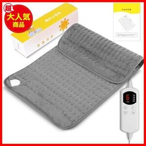 [. cheap! limited amount!] *30X60_ gray * one person for hot carpet electric hot mat 6 -step temperature adjustment 4 kind time zone timing setting 