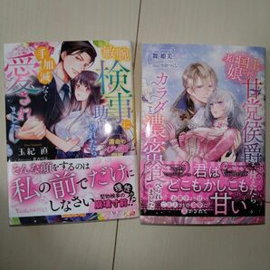 【ヒロさん様専用】新刊　TL 小説「敏腕検事に助けられたら、手加減なく」「実は国王の娘ですが、甘党侯爵さまに仕えたら」