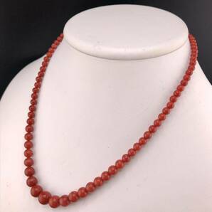 E03-10261 血赤サンゴネックレス 3.0mm~9.0mm 43cm 20.7g ( 珊瑚 丸玉 血赤 赤 necklace SILVER jewelry )の画像2