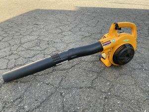 RYOBI EBLK-2600 Kar start Ryobi engine blower present condition TP3520