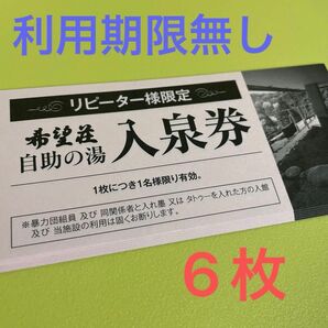 湯の山温泉 希望荘 自助の湯 入泉券　6枚