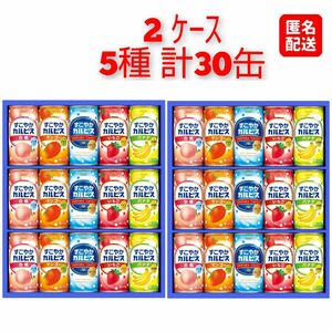 【新品】 アサヒ飲料 すこやかカルピス ギフト 190ｇ×5種 各3 計15缶 ×２ケース 計30缶