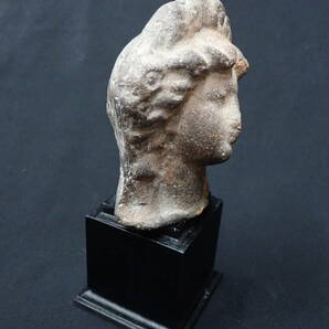 ガンダーラ  土器 ローマ テラコッタ女神像の画像9