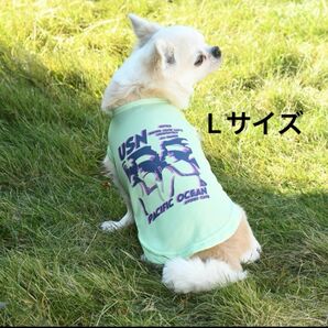 【新品】AVIREX アヴィレックス セーラータンクトップ　 犬服 ドッグウェア　Lサイズ グリーン