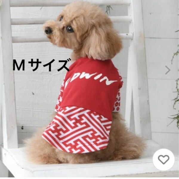 【新品未開封】EDWIN エドウィン　和風Tシャツ　 犬服 ドッグウェア　Mサイズ レッド