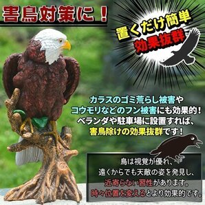 鳥よけ 鷹 鷲 タカ ワシ 置物 リアルイーグル 害鳥 オブジェ カラス 野鳥 ハト スズメ 30cm 大迫力 効果絶大 ムクドリ ホークの画像2