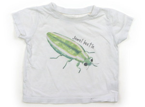 インセクトコレクション Insect Collection Tシャツ・カットソー 80サイズ 男の子 子供服 ベビー服 キッズ