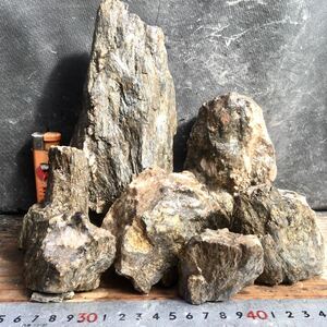 アクアリウム 渓谷石セット⑬★清流石 水槽レイアウト メダカ 熱帯魚