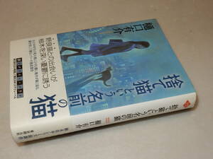 F0917〔即決〕白川充宛署名(サイン)落款『捨て猫という名の猫』樋口有介(東京創元社)2009年初版・帯〔状態：並/多少の痛み等があります。〕