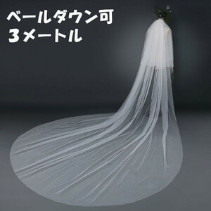  free shipping long veil 3m wedding dress wedding veil down possibility 2 layer wedding wedding dress 3 meter small articles race (2)