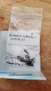 ギムノカリキウム　スペガッツィーニ　天平丸　JO854.01　種子15粒