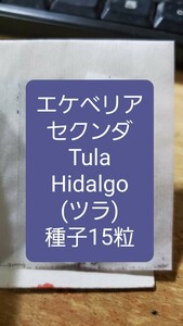 エケベリア　セクンダ, Tula, Hidalgo ツラ　種子15粒