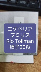 エケベリア　フミリス, Rio Toliman 種子30粒