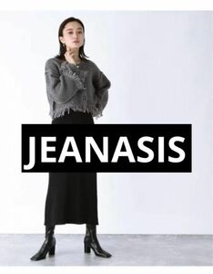 【最終値下げ！！】美品　JEANASIS ジーナシス　フリンジショートニットカーディガン　グレー