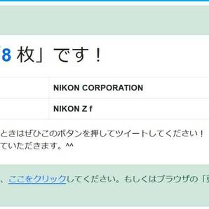 ショット数８枚！試写のみほぼ新品 Nikon Zf プレミアムエクステリア ボルドーレッド ニコンダイレクト限定３年メーカー保証付グリップ付の画像10