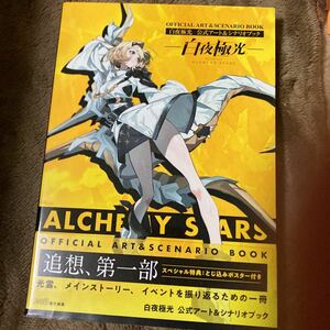 白夜極光　公式アート&シナリオブック　中古品　即決　送料込み