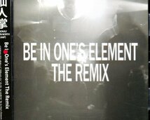 BE IN ONE'S ELEMENT THE REMIX 仙人掌 monju issugi pug 16flip down north camp dogear psycho patch bes s.l.a.c.k 5lack punpee psg_画像1