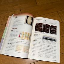 数研出版 物理基礎 文部科学省検定済教科書 高等学校理科用 104 数研 物理_画像4