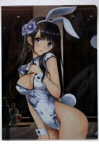 T2 ART WORKS　コミックマーケット 103 グッズセット ばらし 【 クリアファイル ① 艶嬢幻夢譚 瓶児 Ping-Yi 】 2023 冬コミ　Tony