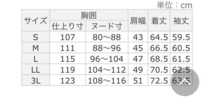 裏フリース風を防いであったか防寒対策　新品ダンロップ・リファインド防風スポーティブルゾン　Ｍ_画像8