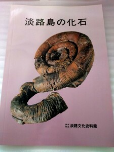 淡路島の化石　写真集　資料