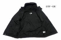 THE NORTH FACE ノースフェイス 90 EXTREME RAIN JACKET マウンテンパーカー 登山 キャンプ タウンユース Lサイズ 海外限定_画像6