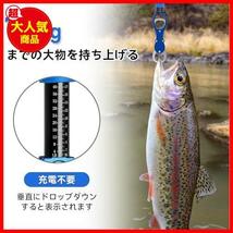 【最安！数量限定！】 ★グレー★ 防錆 アルミ製 魚掴み器 フィッシュキャッチャー 魚つかみ 機能付き 計測 計量 フィッシュグリップ_画像2