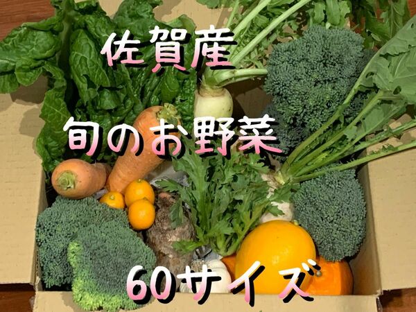 野菜詰め合わせ＊旬のお野菜＊