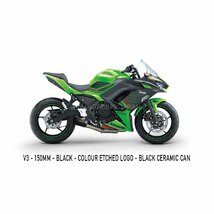 KAWASAKI NINJA 650 ,Z650 2017～2022 AUSTINRACING DE-CAT エキゾーストマフラー オースティンレーシング_画像1