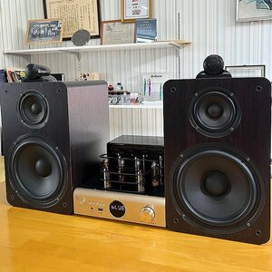 ** newest version! vacuum tube / tube lamp type pre-main amplifier model AV-2080R+ speaker SP-2080H stereo set Gold Bluetooth 5.0 new goods /AMP4-BYb7