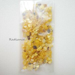 ☆リアルシェル☆貝☆10g☆イエロー☆黄色☆レジン☆ネイル☆ハンドメイド素材☆