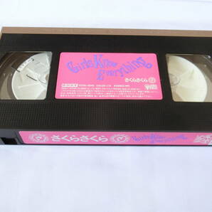ロック・バンド さくらさくら VHSビデオ Girls Know Everythingの画像4