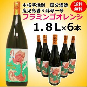 国分酒造 フラミンゴオレンジ 芋焼酎 1.8L 6本セット①