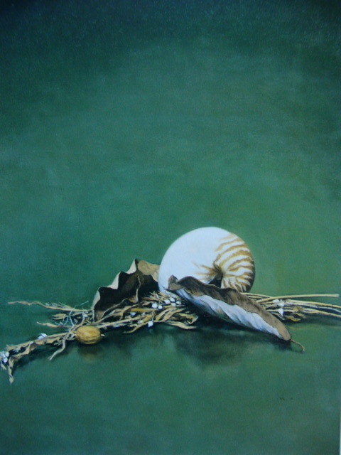 Michie Aoki, Coquille d'Omu, Livres d'art rares/peintures encadrées, Fabriqué au Japon et sera encadré dans un nouveau cadre., Bonne condition, peintre japonais, peinture, peinture à l'huile, peinture nature morte