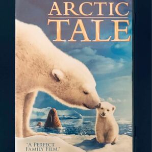 DVD ARCTIC TALE 北極 ホッキョクグマ 白くま