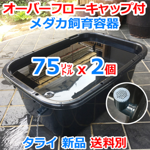 メダカ飼育容器【75㍑ 黒 2個 オーバーフローキャップ付】送料別 メダカ水槽 金魚 飼育ケース 水草 睡蓮 ビオトープ タライ【五色アクア】