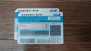 ANA株主優待券 2024年5月31日迄 2枚セット ナビでの番号通知可【即決あり】③