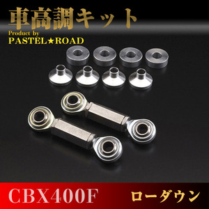 CBX400F Pastel Road Low Down Car Harmonic Kit Snake 17024