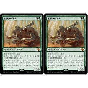 緑神話▼MTG▼サンダー・ジャンクションの無法者▼金脈のハイドラ2枚組の画像1