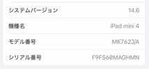 simフリー iPad mini4 Wi-Fi+Cellular 128GB iPadOS 14.6 MK762J/A_画像5