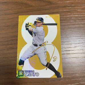 2024年プロ野球チップス 佐藤輝明 阪神タイガース スターカード