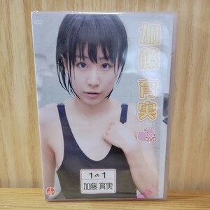 【未開封】 加藤育美 1st. DVD